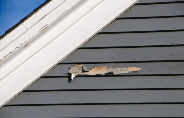 Professional Siding Installation & Repair in New Castle Northwest, PA